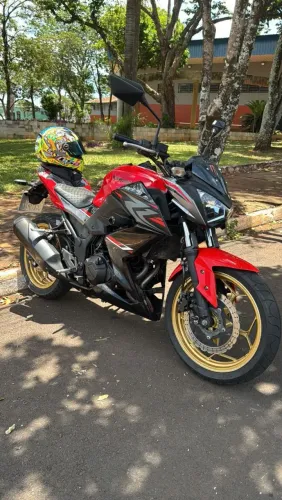Z300 edição especial 