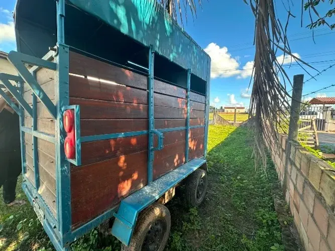 Carrocinha para 2 cavalos