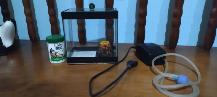 Aquário para peixe