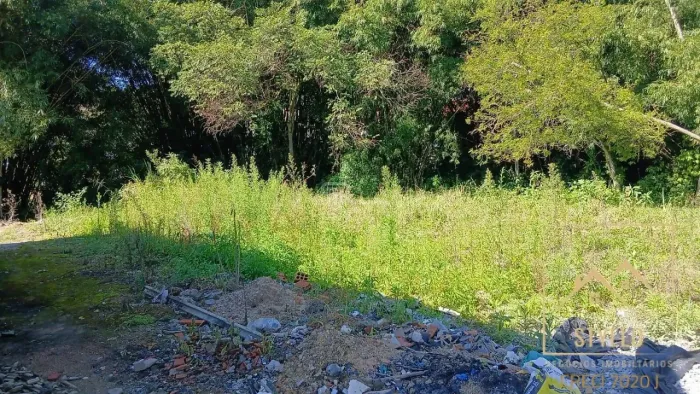 Excelente Terreno à venda, 539,78 m² - Bairro Sertão do Imarui São José SC