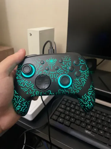Controle Funlab Nintendo Switch e PC