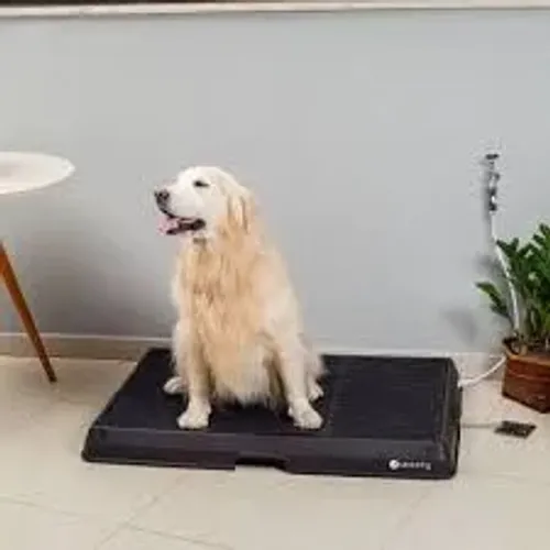 Weasy Banheiro Pet G