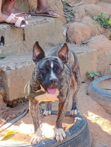 Vendo barato