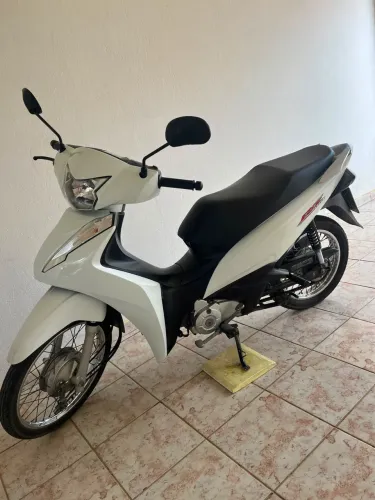 Biz branca 2024