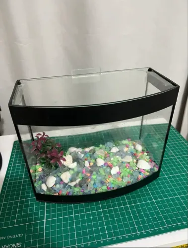 Aquário já com decoração 