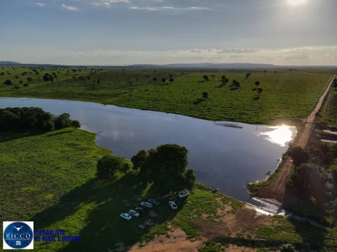 Fazenda à Venda na Região de Montes Claros de Goiás GO | 300 Alqueires