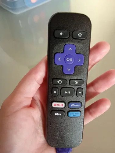 TV Samsung 43 polegadas com Roku TV