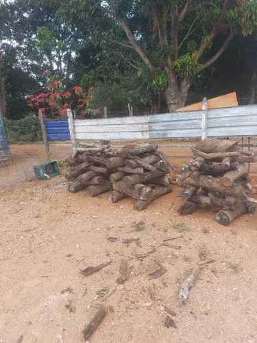 Fogueira lenha festas juninas