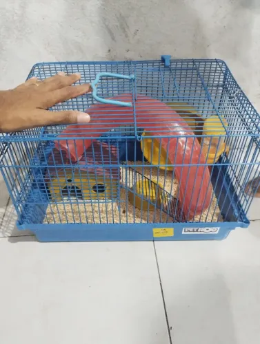 Gaiola completa para HAMSTER