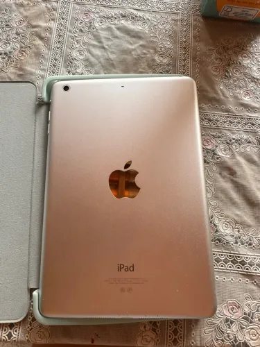 iPad mini 2