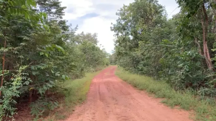 Fazenda com forte potencial produtivo e excelente oportunidade de investimento!