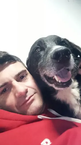 Passeio com cães