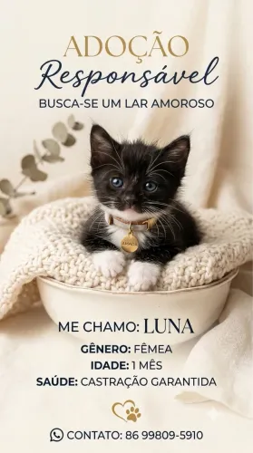 Adoção responsável