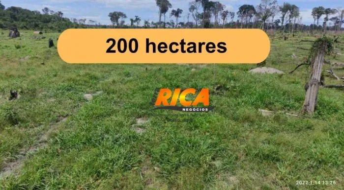 Fazenda à venda, com 200 hectares na Área Rural de Candeias do Jamari/RO