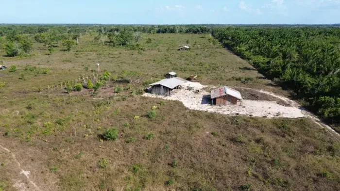 96 hectares por 1.1 milhão de reais há 44 km de Castanhal