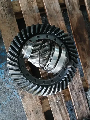 Coroa Pinhao 1318 1041Mb