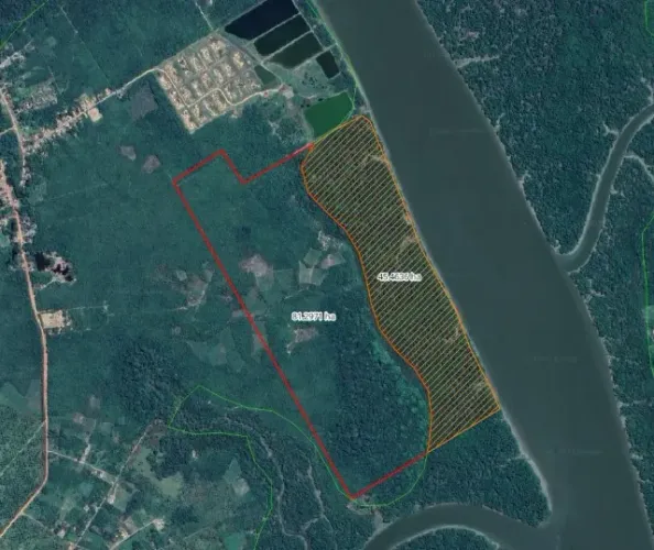 65 hectares em Curuça-Pa terra boa pra criar camarão ou fazenda R$300 mil reais