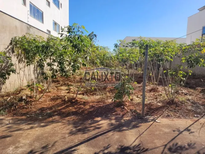TERRENO BAIRRO VIDA NOVA