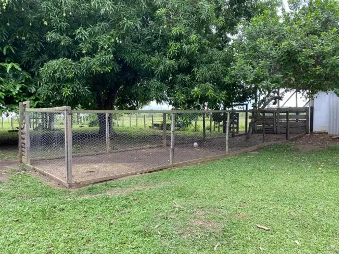 Fazenda 1.000 x 2.000 na AM 010 KM 195 2.500.050