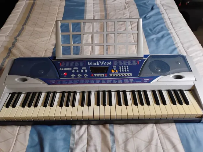 Teclado Musical Black Wood AK-3000 - Na Caixa com Manual