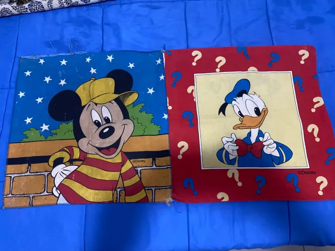 2 capas de almofada Disney