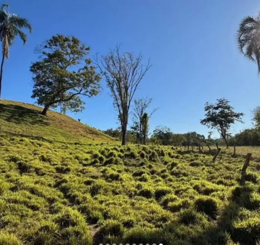 Fazenda de 51 alqueires