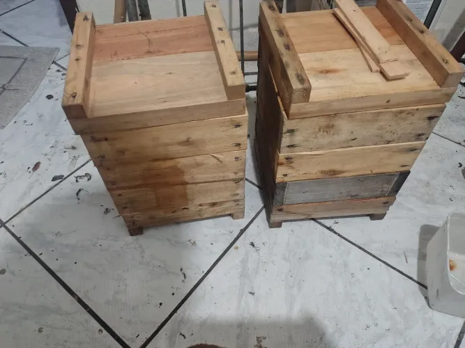 Caixas d abelha s ferrão