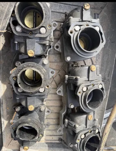 Motor Johnson?s enversd optimax