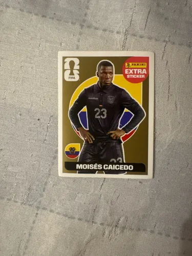 Figurinha do Moisés caicedo extra stickers