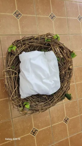 Props acessórios para estúdio fotográfico ninho