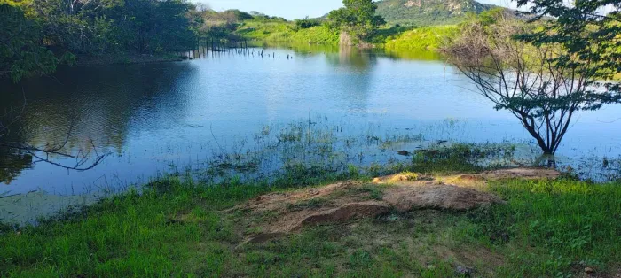 Propriedade beira de pista na BR 230