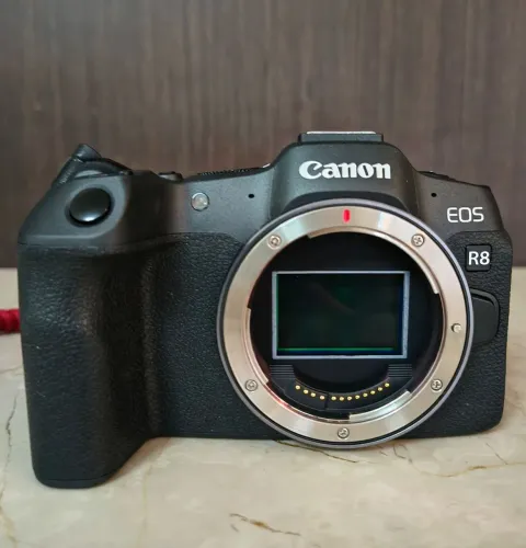 Câmera Canon R8 ( Como nova)