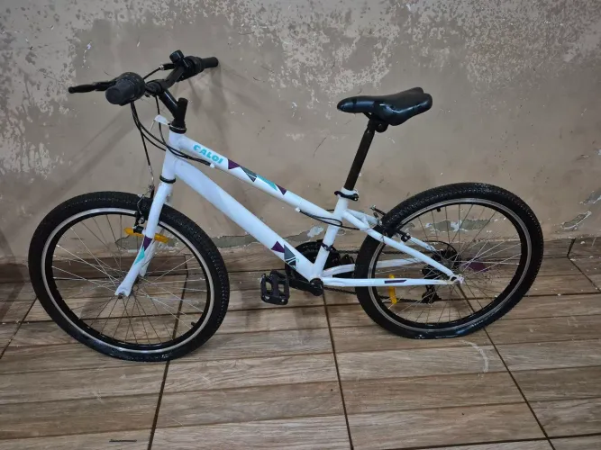 Bicicleta aro 24
