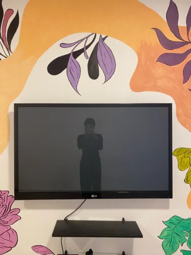 TV LG 50 polegadas