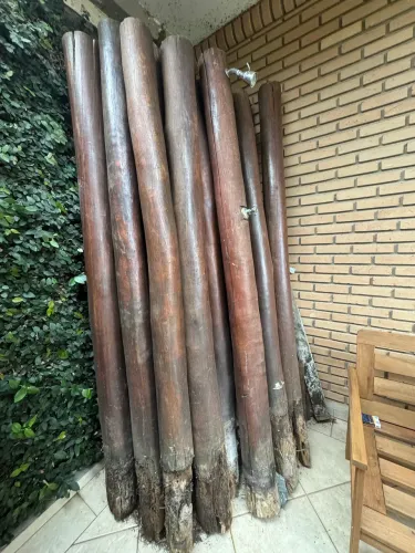 Lote de Toras de Madeira