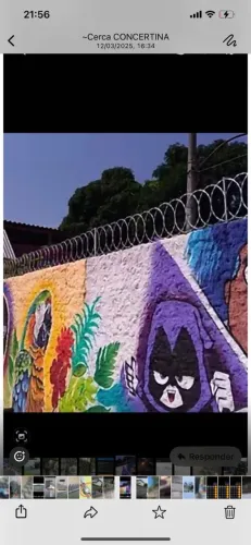 Instalação de concertina Promoção