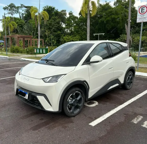 BYD Dolphin Mini (Elétrico) 2025