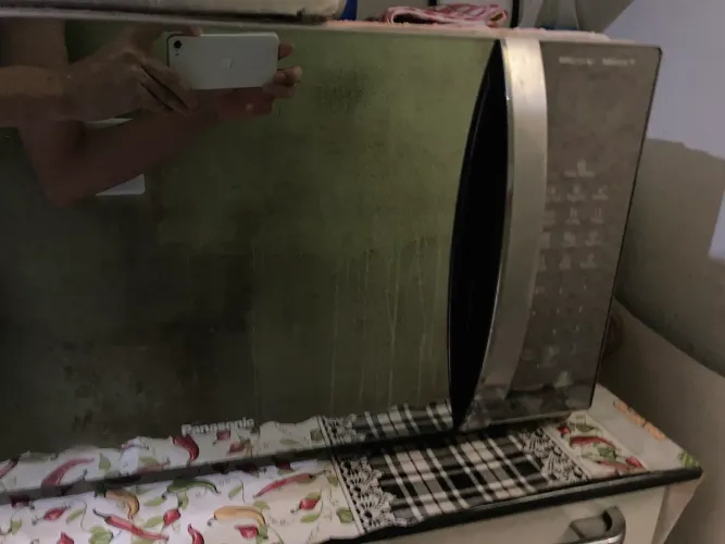 Microondas Panasonic