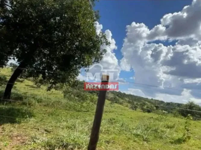 Fazenda 36 Alqueires (174,24 Hectares) Catalao - GO