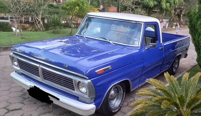 Ford F-100 Super 3.6 1981