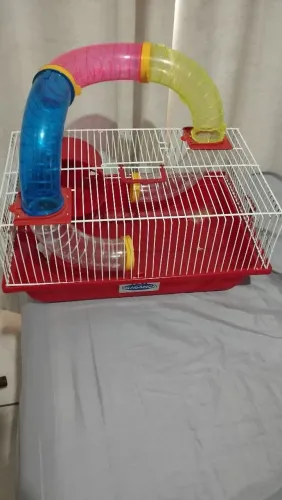vendo gaiola para roedores de pequeno porte 