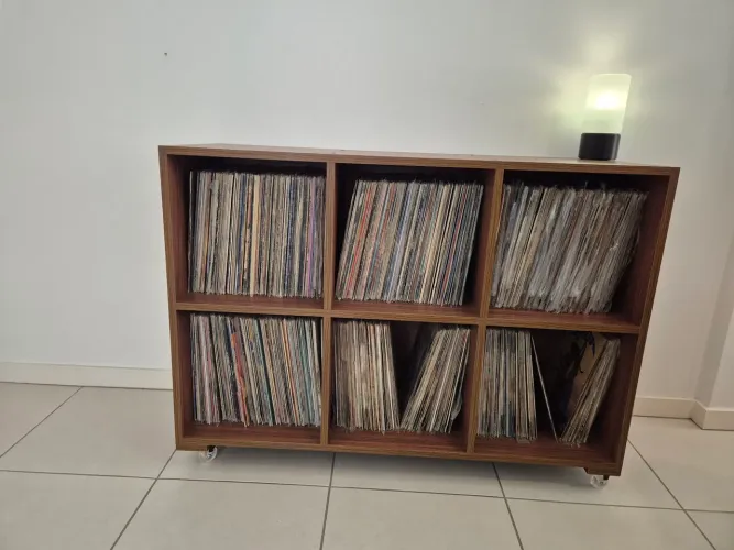 A cervo de vinil com aparelho 4 em 1 e estante