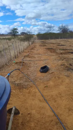 Vendo ou troco terreno pra chácara 1250m2 em Petrolina