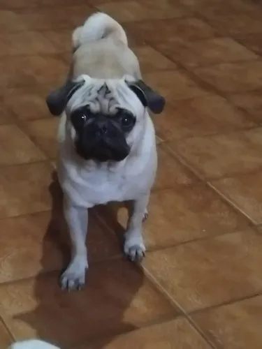 Procurando namorada tem 2 anos