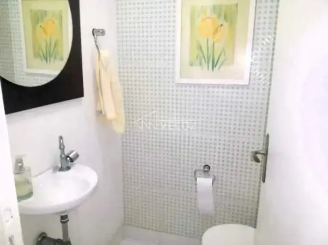 Apartamento - / Residencial / Flamengo
