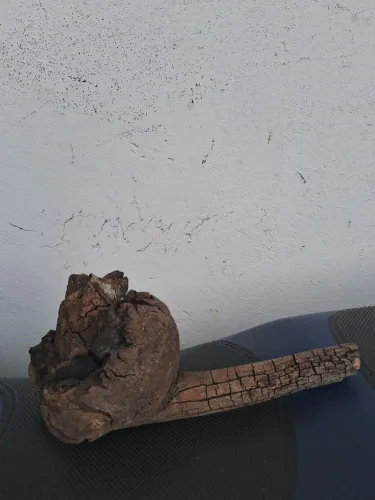 Tronco enfeite para aquário 