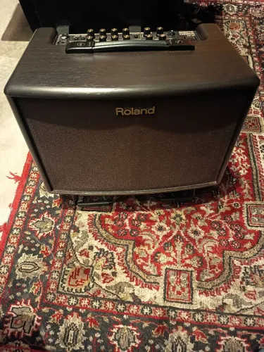 Caixa acústica Roland AC-60