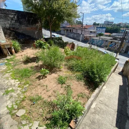 FREGUESIA DO Ó CASA ANTIGA Terreno 370,00M² - PROXIMO METRO R$695.000,00