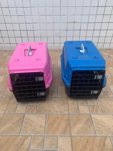 Casinha para transporta cães e gatos