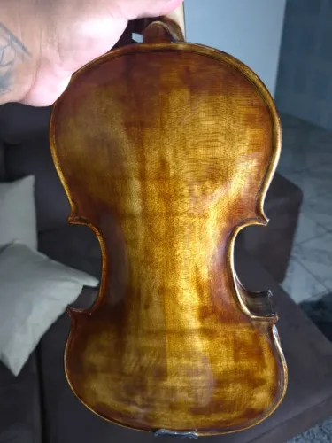 Violino